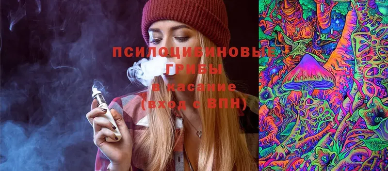 Псилоцибиновые грибы Magic Shrooms  блэк спрут сайт  Кушва 